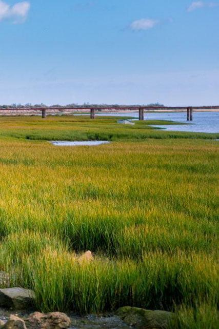 Ria Formosa Natural Park